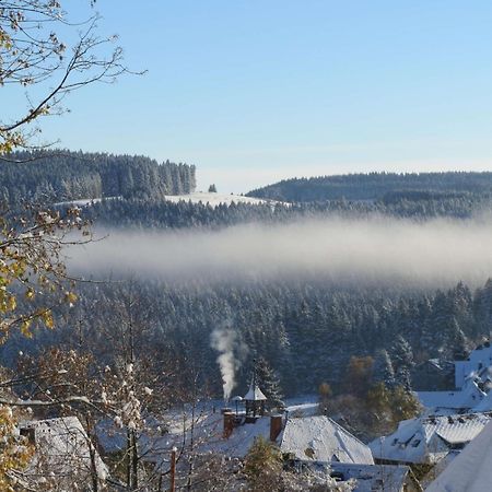 Haus Sommerberg Feldberg  Luaran gambar