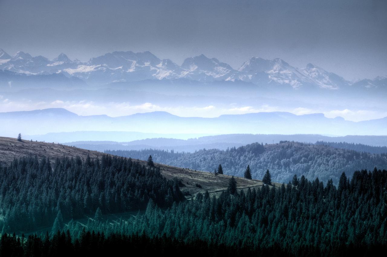 Haus Sommerberg Feldberg  Luaran gambar